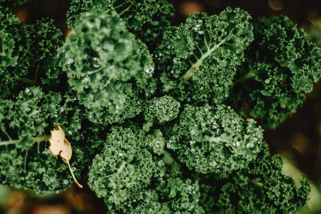 <p>This leafy green superfood is not only rich in vitamin K and beta-carotene but also in vitamin C. One cup of chopped kale contains about 80 mg of vitamin C. Incorporate kale into salads, smoothies, or soups for a nutrient boost. Kale's high fiber content also supports digestive health and can aid in lowering cholesterol levels. </p>:: Pexels