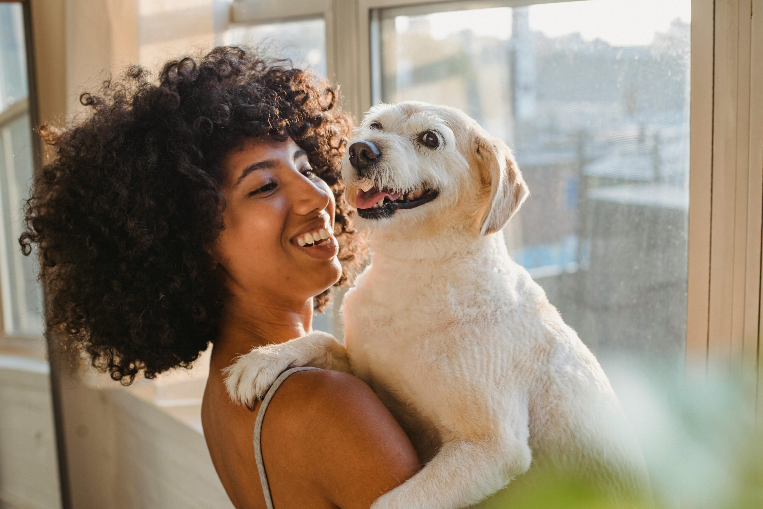 Take advantage of your time indoors to work on obedience training and teach your dog new tricks. Use positive reinforcement techniques like treats and praise to reinforce desired behaviors and strengthen the bond between you and your dog. :: Pexels