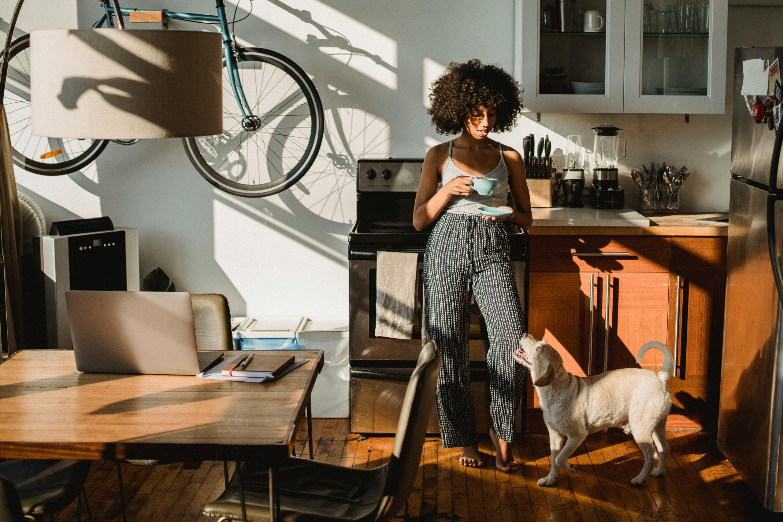 Engage your dog's sense of smell by playing scent games like "find the treat" or "scent trail." Scatter treats around the room or lay out a scent trail using essential oils, and let your dog use their nose to track down the hidden treasures. :: Pexels