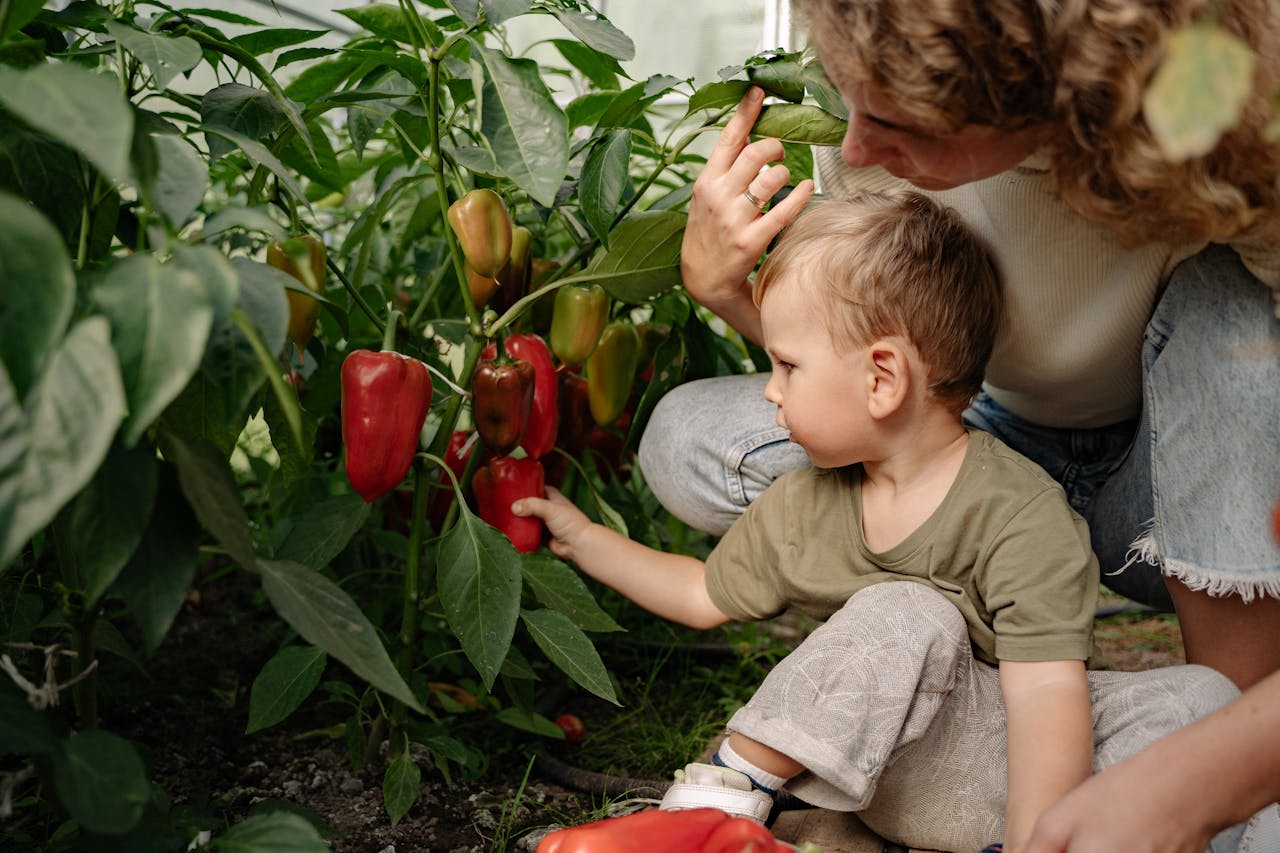 <p>Red bell peppers are not just vibrant and crunchy; they're a powerhouse of vitamin C. A single cup of chopped red bell pepper provides approximately 190 mg of vitamin C, more than twice the amount found in an orange. They are also rich in antioxidants like beta-carotene, which support eye health. Adding them to your salads, stir-fries, or simply enjoying them raw can boost your nutrient intake significantly. </p>:: Pexels