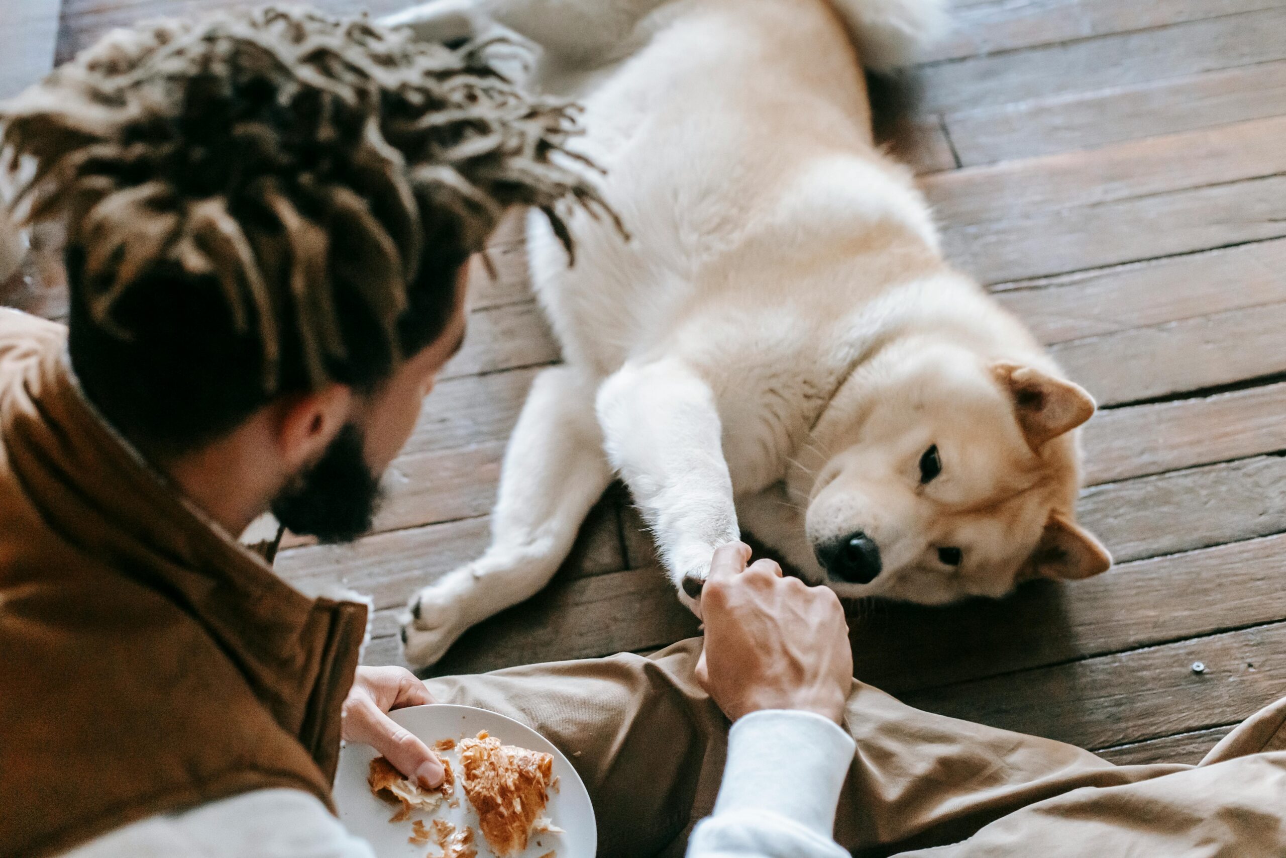 Ditch the traditional food bowl and opt for interactive feeding toys like Kong or puzzle feeders. These toys require your dog to work for their meals, keeping them mentally engaged and slowing down their eating pace to prevent digestive issues. :: Pexels