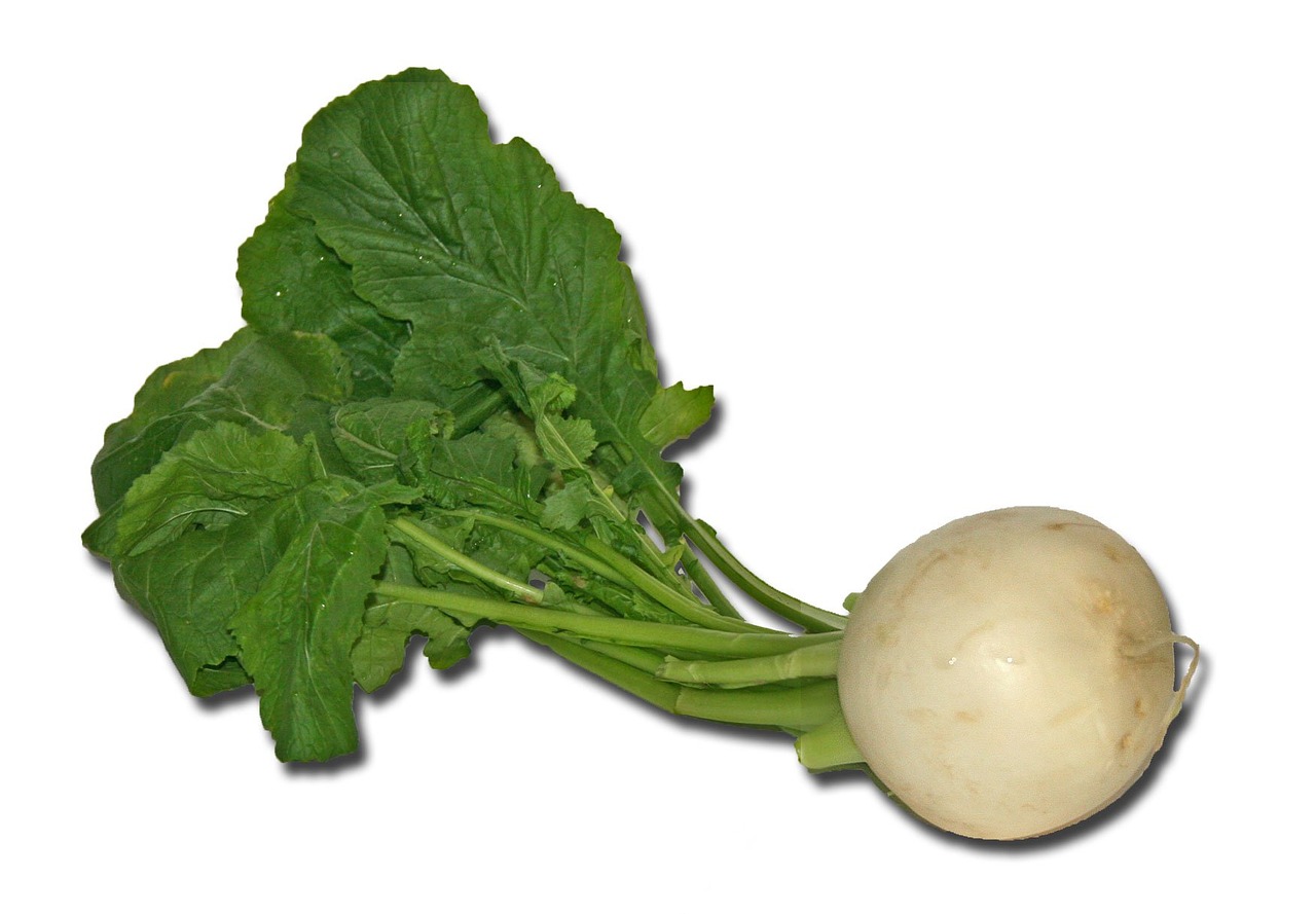 Turnip greens, another unsung hero in the pantheon of vitamin D-rich foods, furnish approximately 32 IU per cooked cup. With their low-calorie profile and abundance of vitamins and minerals, they serve as a welcome addition to soups and stews, imparting both flavor and nutrition. :: Pixabay