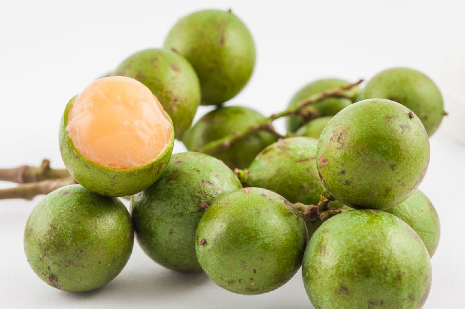 <p> Guinep, also known as Spanish lime, is a small, green fruit with a sweet and tangy flavor. The fruit is typically eaten fresh by popping the skin and sucking on the juicy flesh. It's a popular street food in Jamaica, especially during the summer months. The refreshing taste of guinep is perfect for hot, sunny days. </p> :: Jamaicans.com