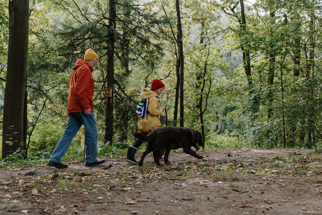 <p> Hiking is often thought of as a peaceful, nature-filled activity, but don't underestimate its calorie-burning potential. Hiking involves walking on uneven terrain, often uphill, which challenges your muscles in ways that regular walking or running might not. Depending on the incline and the weight of your backpack, hiking can help you burn between 400 to 700 calories per hour. The added bonus? The beautiful scenery distracts you from the effort, making it feel less like a workout and more like an adventure. Whether you’re hiking up a mountain or taking a casual trail through a forest, you’ll be burning calories and improving your cardiovascular health without even realizing it. Calories burned: 400 to 700 per hour Pro tip: To maximize your calorie burn, try choosing trails with varying elevation or carrying a light backpack for added resistance. </p> :: Pexels