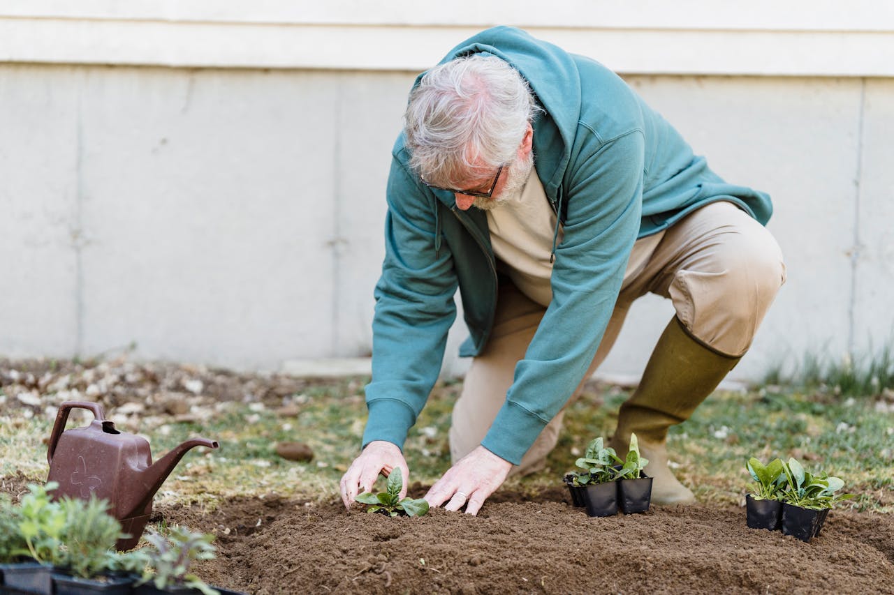 <p> Gardening is often overlooked as exercise, but it can be surprisingly effective! As you dig into the soil, weed, and water your plants, you're engaging your arms, core, and legs, providing a full-body workout that boosts flexibility and balance. These activities not only keep you fit but also allow you to enjoy the great outdoors. Beyond physical benefits, gardening offers a deep sense of fulfillment. Nurturing plants and watching them thrive is incredibly satisfying, especially when you can harvest fresh tomatoes or basil for your meals. Whether you have a spacious garden or a few pots on a balcony, gardening is a rewarding way to connect with nature while nourishing both your body and soul. </p> :: Pexels