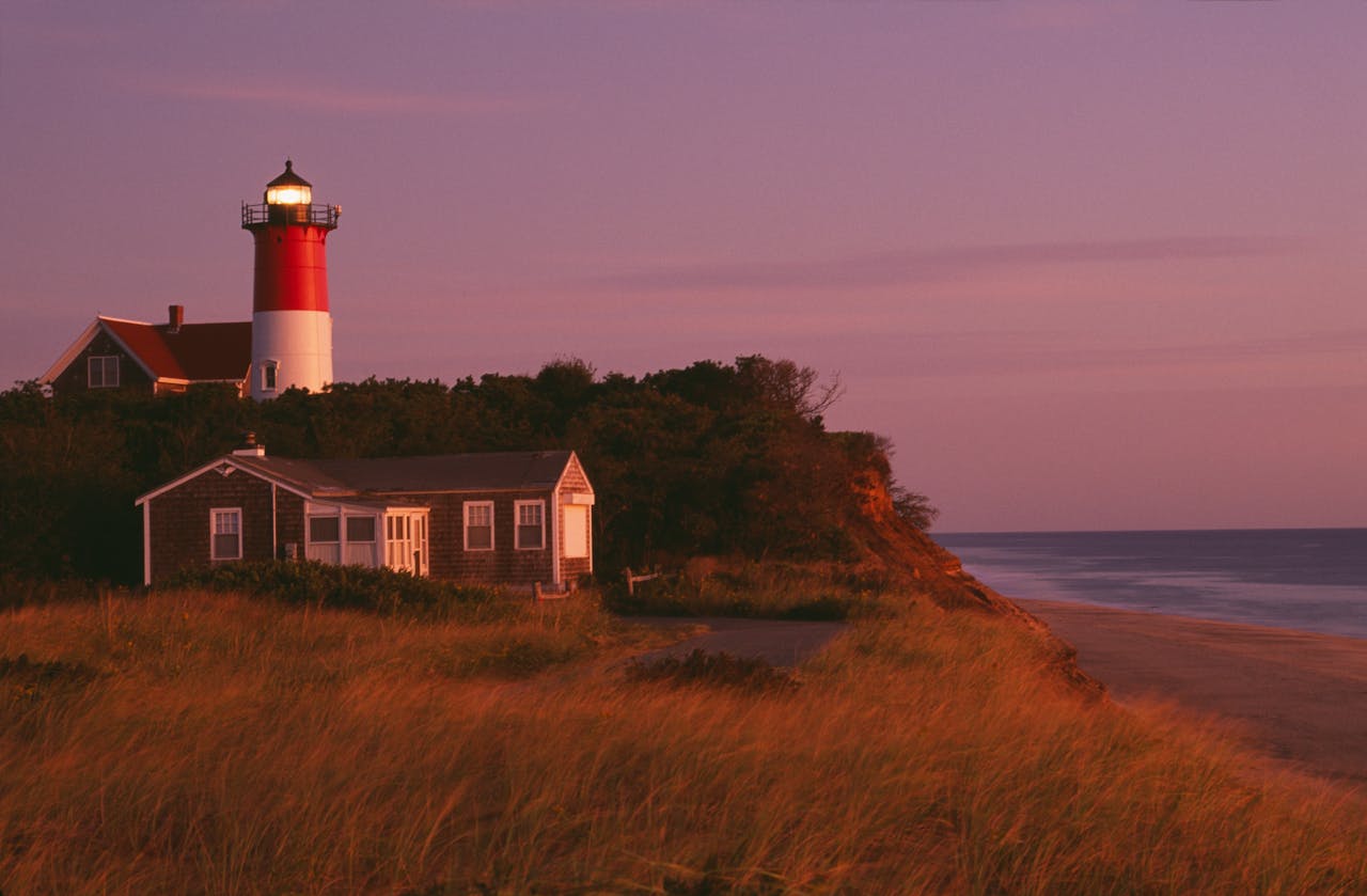 <p> Cape Cod is a classic summer destination that welcomes pets with open arms. Enjoy dog-friendly beaches like Nauset Beach, where your pup can frolic in the sand and surf. With charming pet-friendly accommodations and delightful seaside restaurants, Cape Cod provides a perfect blend of relaxation and adventure for you and your pet. Explore the natural beauty and charming towns that make this destination a favorite for pet owners. </p> :: Pexels