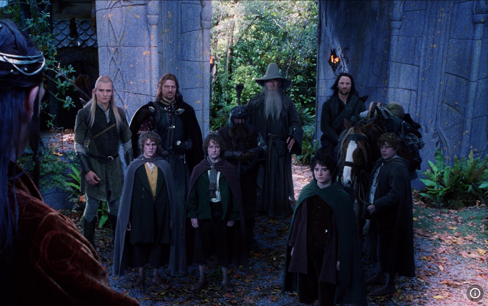 <p> Peter Jackson's adaptation of J.R.R. Tolkien's epic fantasy series is often hailed as one of the most successful book-to-movie transformations in cinematic history. The trilogy—comprising The Fellowship of the Ring, The Two Towers, and The Return of the King—masterfully captures the rich world of Middle-earth and the complex relationships between its characters. Jackson's meticulous attention to detail, coupled with stunning visuals and an exceptional score by Howard Shore, creates an immersive experience that resonates with both fans of the books and newcomers to the story. The trilogy's success at the Academy Awards, including multiple Best Picture nominations and several wins, solidifies its status as a landmark in film adaptations. </p> :: IMBD