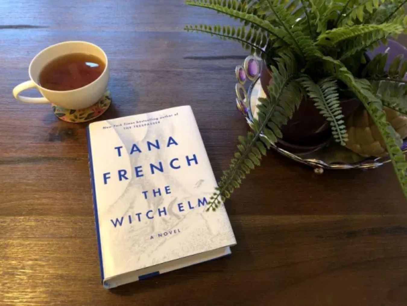 <p> For fans of psychological thrillers, "The Witch Elm" offers a gripping story filled with suspense and intrigue. The novel follows Toby, a man whose life is turned upside down when he is attacked in a burglary and returns to his childhood home to recuperate. While there, he discovers a skull in the garden, unraveling a mystery that forces him to confront his past. French’s masterful storytelling and complex characters keep readers on the edge of their seats as the plot unfolds. The dark themes and intricate narrative make "The Witch Elm" a compelling choice for a thrilling fall read. </p> :: Pinterest