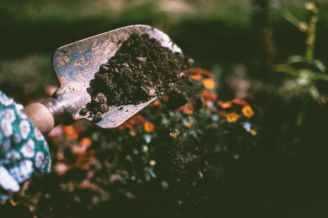 <p> A hand trowel is a fundamental gardening tool that every beginner should own. This small, handheld tool is perfect for digging, planting, and transferring soil in tight spaces. With its pointed blade, a hand trowel can effortlessly break up soil, making it easier to plant flowers, vegetables, or herbs. Look for a trowel with a sturdy handle and a rust-resistant blade to ensure durability. Investing in a quality hand trowel will save you time and effort in your gardening tasks, allowing you to enjoy the process of planting and cultivating your garden. </p> :: Pexels