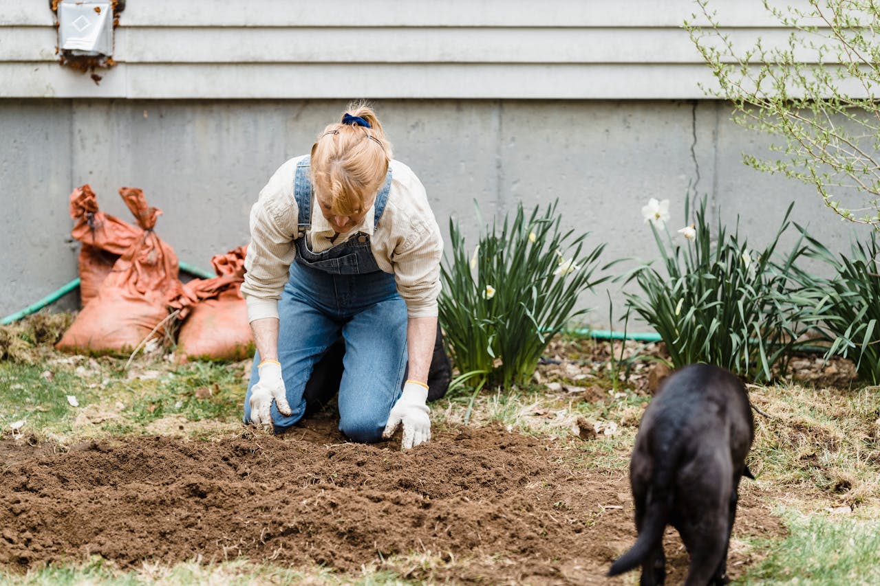 <p> Over time, foot traffic, lawn equipment, and even rainfall can cause the soil in your yard to become compacted. When soil is compacted, it reduces the amount of oxygen, water, and nutrients that can reach the grass roots. This results in poor grass growth, bare patches, and an increased risk of disease. If you notice that your lawn feels hard when you walk on it or that water is pooling instead of being absorbed, it’s time to aerate the soil. Aerating involves creating small holes in the soil to allow air, water, and nutrients to penetrate deeply, helping your grass thrive. </p> :: Pexels