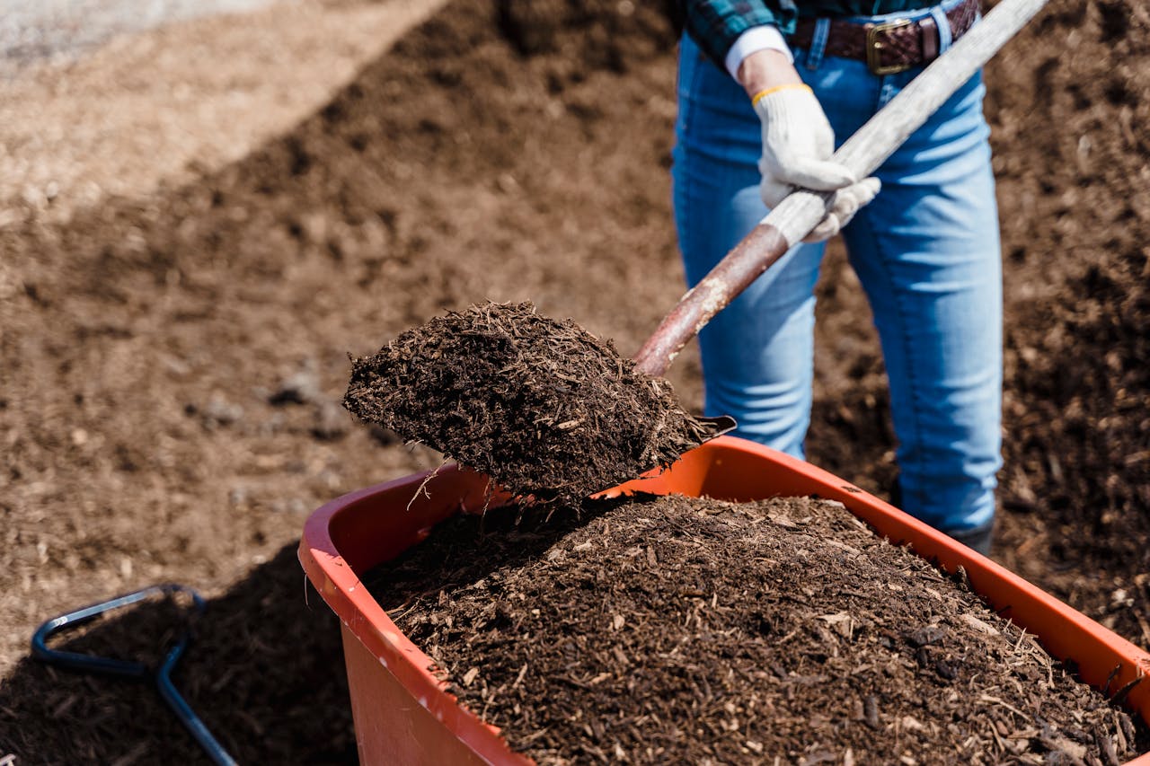 <p> Applying mulch to your garden beds is a vital step in fall gardening. Mulch serves multiple purposes: it helps regulate soil temperature, retains moisture, suppresses weeds, and adds organic matter to the soil as it breaks down. Use organic materials such as straw, shredded leaves, or wood chips as mulch. A layer of mulch around 2 to 4 inches deep will provide insulation to your plants during the colder months, protecting the roots from frost and extreme temperature fluctuations. </p> :: Pexels