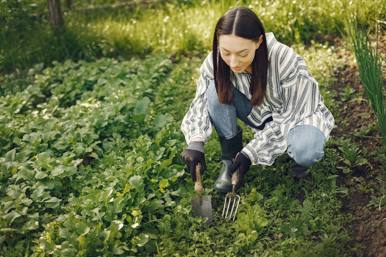 <p> A garden fork, also known as a spading fork, is an essential tool for turning and aerating soil. Its sturdy tines make it easy to break up compacted soil, mix in compost, and prepare garden beds for planting. Unlike a shovel, which can disturb soil structure, a garden fork allows you to aerate the soil without turning it over completely. This is especially important for maintaining healthy soil biology. When selecting a garden fork, look for one with strong, durable tines and a comfortable handle for efficient digging and turning. </p> :: Pexels