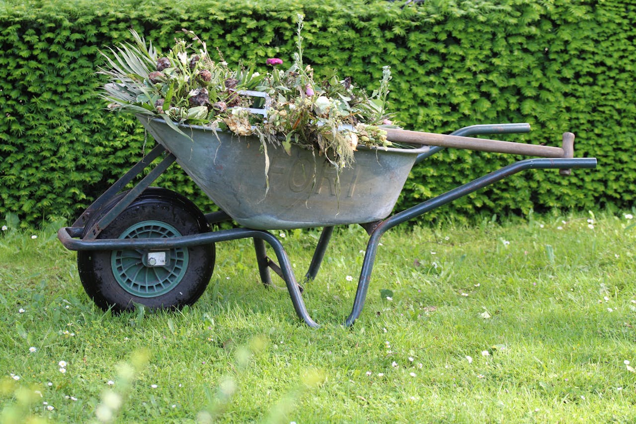 <p> Weeds are more than just an aesthetic problem—they compete with your grass for vital nutrients, water, and sunlight. Ignoring weeds can quickly turn a well-maintained lawn into a weed-infested one. Weeds grow faster than grass, and if left unchecked, they can take over entire sections of your lawn. Regularly inspecting your lawn for weeds and addressing them early on is crucial. You can remove weeds by hand or use an appropriate herbicide, but be careful to choose one that won’t harm your grass. </p> :: Pexels