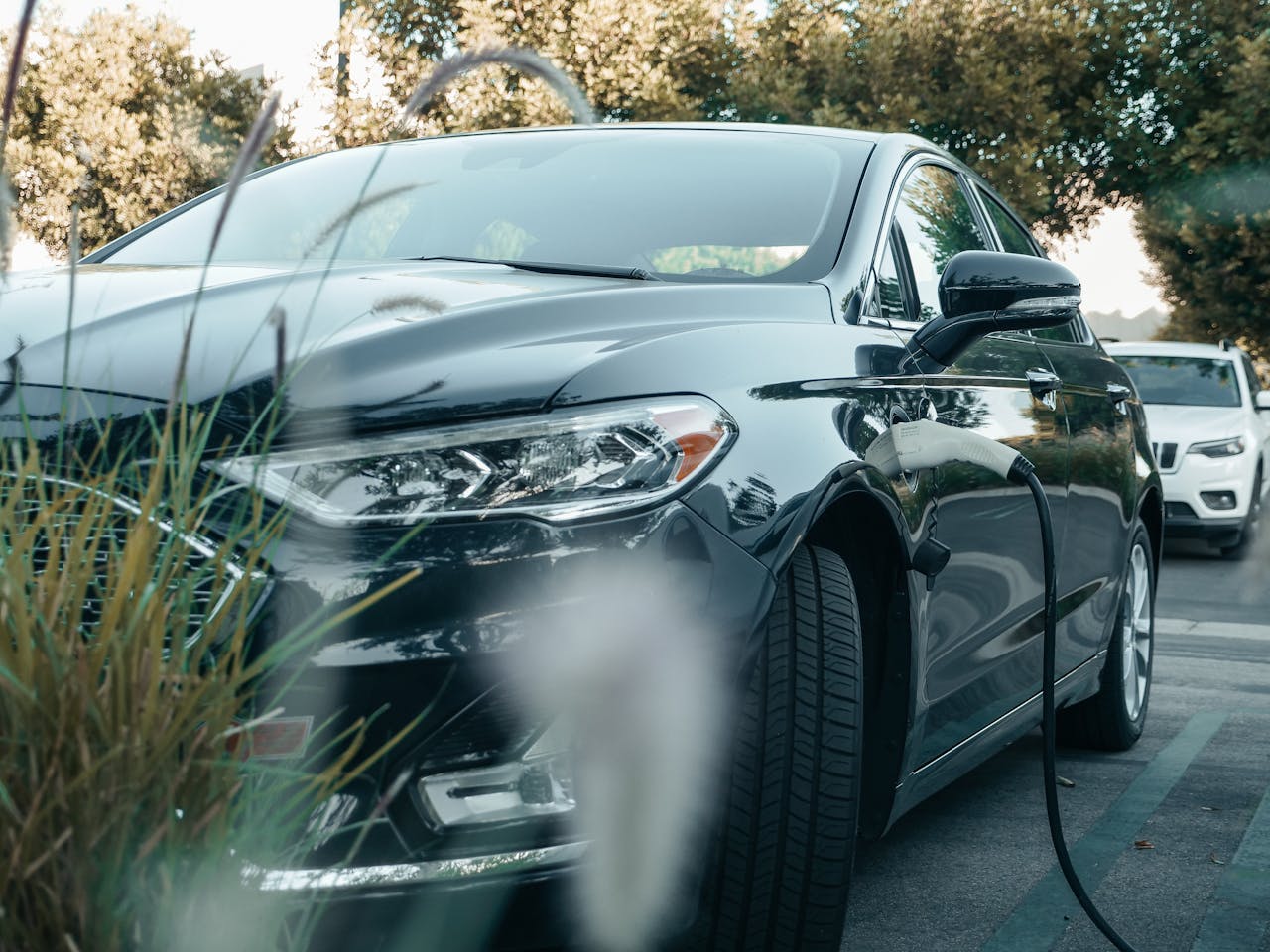 <p>The evolution of the electric vehicle market is a testament to the dynamic interplay of technology, policy, and consumer behavior. As the market continues to mature, it will be fascinating to see how these factors shape the future of transportation.</p> ::Pexels