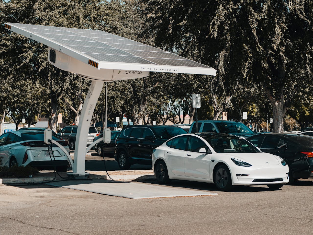 <p>The electric vehicle (EV) market has seen remarkable growth and transformation over the past decade. Here are 12 key insights into how the market share of electric vehicles has evolved.</p> ::Pexels