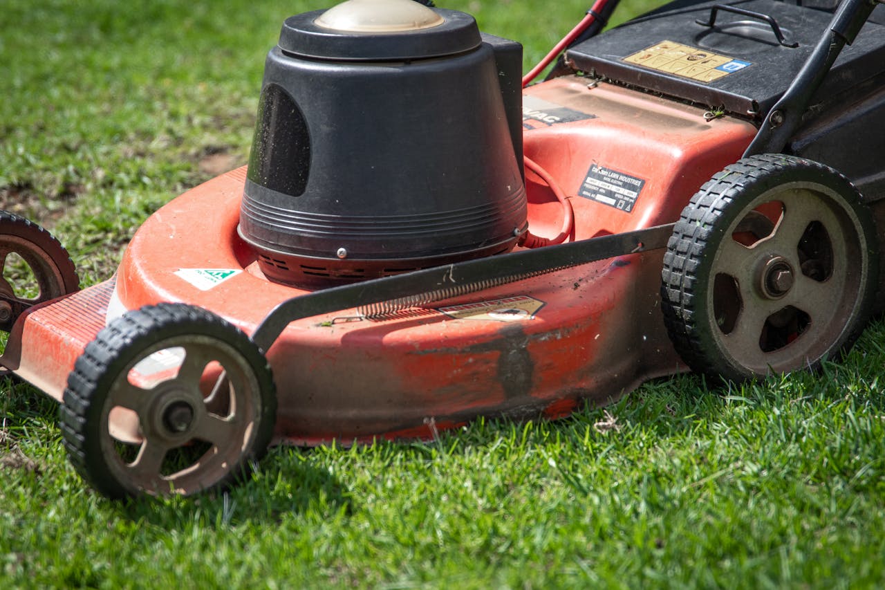 <p> Mowing the grass too short is a frequent mistake that weakens your lawn and leaves it vulnerable to weeds, pests, and diseases. When you cut the grass too low, it reduces the grass’s ability to photosynthesize properly and diminishes its overall health. Short grass also encourages weed growth since more sunlight reaches the soil, allowing weeds to take root. Ideally, you should follow the one-third rule, meaning never cut more than one-third of the grass blade in one mowing session. Taller grass shades the soil, retains moisture better, and helps prevent weeds from sprouting. </p> :: Pexels