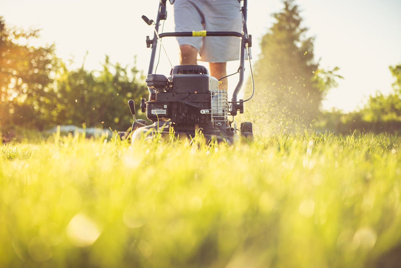 <p> Your lawn has different needs depending on the time of year, and skipping crucial seasonal care can negatively impact its health. For example, neglecting to fertilize in the spring can result in weak early growth, while failing to aerate or overseed in the fall can lead to thinning grass and poor root development. Additionally, not preparing your lawn for winter can expose it to frost damage, making it harder for your grass to recover in the spring. A seasonal lawn care plan that includes fertilizing, aerating, and weed control can help keep your lawn strong and healthy throughout the year. </p> :: Pexels