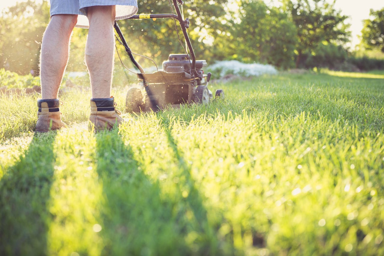 <p> A lush, green lawn is a homeowner’s pride, but maintaining one takes more than just regular mowing and watering. In fact, some common practices may actually be harming your grass without you realizing it. If your lawn looks patchy, dull, or isn’t as vibrant as it used to be, it could be the result of errors in your lawn care routine. Below are ten things you should stop doing to your lawn right away if you want to avoid damaging it beyond repair. </p> :: Pexels