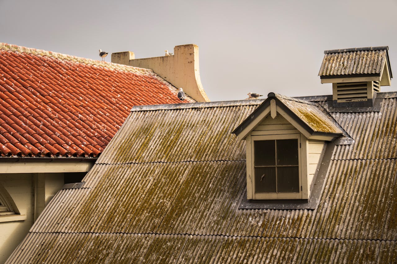 <p> A strong roof is your home’s first line of defense against hurricane winds and flying debris. To reinforce your roof, consider upgrading to hurricane-resistant materials such as metal, tile, or asphalt shingles designed to withstand high winds. Ensure that your roof is securely attached to the walls using hurricane straps or clips, which help prevent it from being lifted off during a storm. Regular maintenance is also crucial; check for loose shingles or signs of wear and tear, and repair them promptly. Additionally, consider adding a secondary water barrier to prevent leaks from heavy rain, ensuring that your home remains safe and dry. </p> :: Pexels