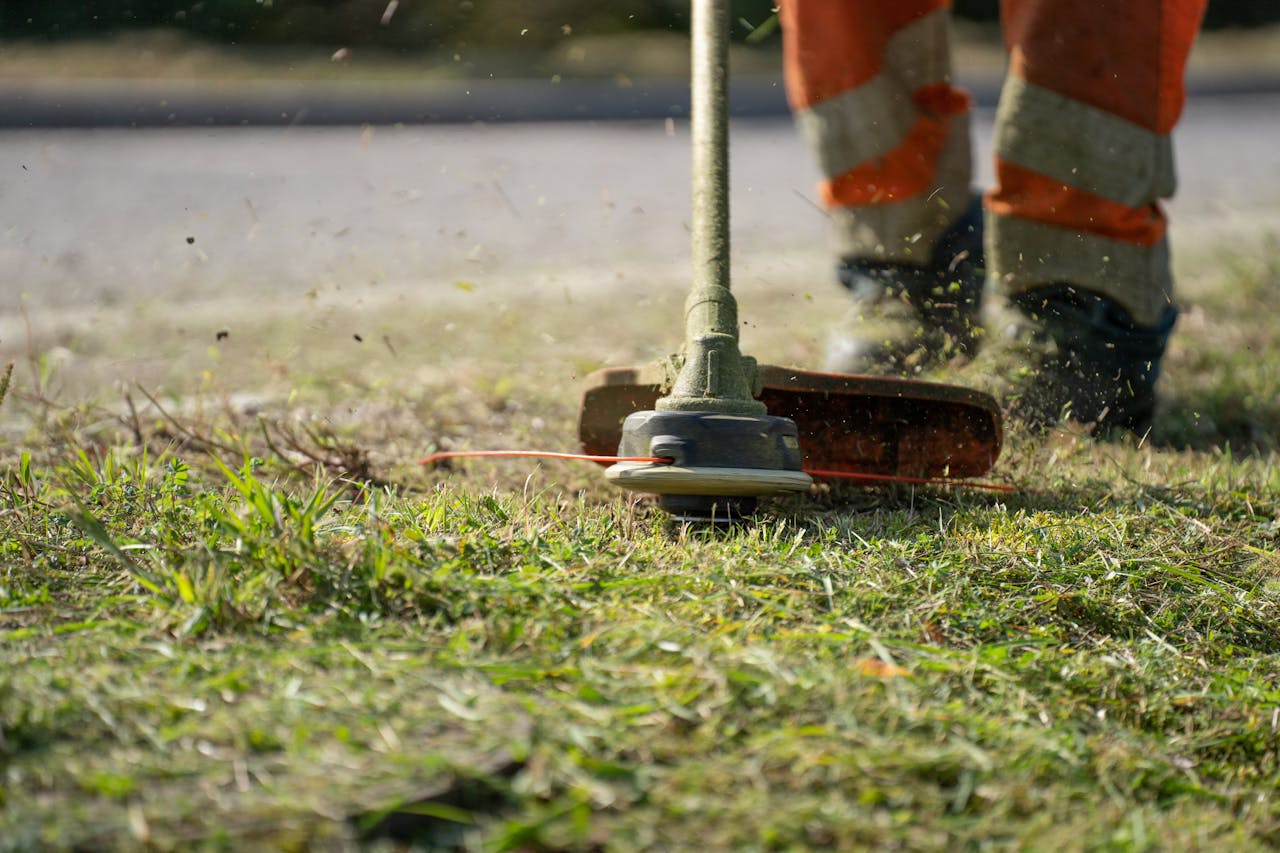 <p> If you’re using a lawnmower with dull blades, you’re doing more harm than good. Dull blades tear at the grass rather than cutting it cleanly, leaving behind frayed and jagged edges. These uneven cuts are more susceptible to diseases and pests. Regularly sharpening your mower blades ensures a clean cut, which promotes faster healing for the grass and helps it maintain a neat, even appearance. Experts recommend sharpening your mower blades every 20 to 25 hours of use to keep them effective. </p> :: Pexels