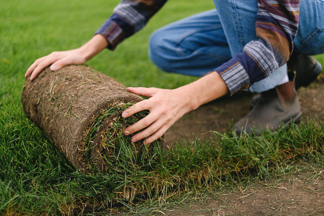 <p> Thatch is the layer of dead grass, roots, and organic material that builds up between the soil and the grass blades. While a thin layer of thatch is normal and can help protect the soil, too much thatch prevents water, nutrients, and air from reaching the grass roots. Thatch also creates a breeding ground for pests and diseases. If your lawn feels spongy when you walk on it, it’s a sign that you have a thick thatch layer that needs to be removed. Dethatching your lawn every couple of years can help keep this layer under control and ensure your grass gets the resources it needs. </p> :: Pexels