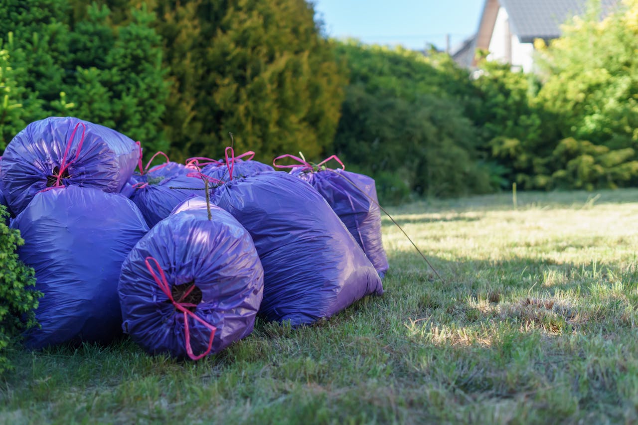 <p> Garbage is a primary source of bad odors in many homes, especially in the kitchen and bathroom. Even if your trash can is sealed, food scraps, packaging, and other waste materials can produce unpleasant smells that spread through the house. To prevent this, make it a habit to empty your trash bins daily. If you can’t take it out every day, sprinkle some baking soda at the bottom of the bin to absorb odors before they spread. Using trash bags with odor-blocking technology can also help keep smells at bay between trips to the dumpster. Regularly disinfect your trash bins to avoid any buildup of odors over time. </p> :: Pexels