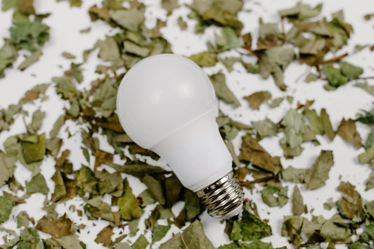 <p> Fluorescent bulbs, such as CFLs (compact fluorescent lamps), contain small amounts of mercury, which, despite being minimal, is toxic and can lead to serious environmental harm. While LED bulbs are less harmful, they too should be recycled. To ensure proper disposal, check for local recycling programs that accept light bulbs, or consider dropping them off at hardware stores that provide recycling services. </p> :: Pexels