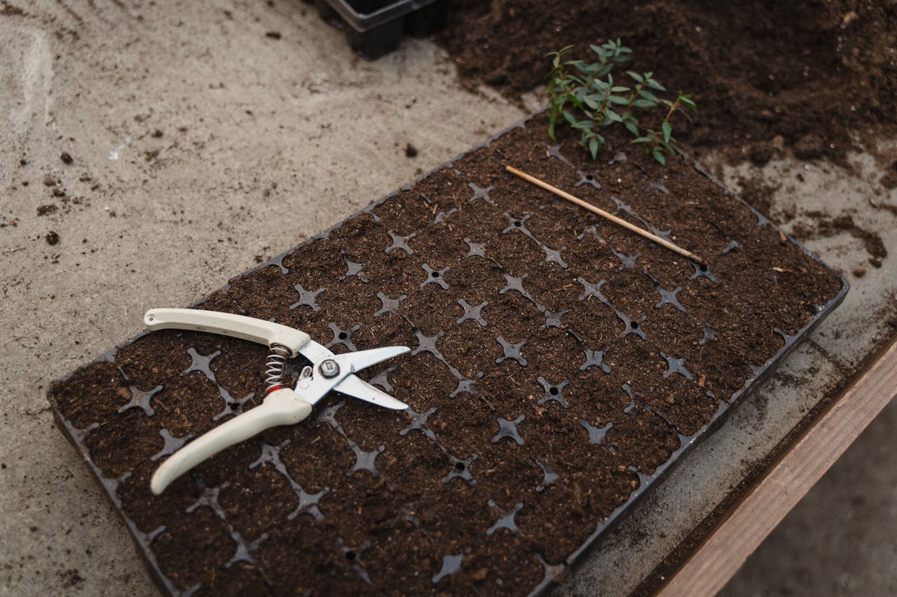 <p> As the gardening season winds down, take the time to clean and prepare your tools and equipment for winter storage. Clean off any soil, debris, or rust from your tools, and sharpen blades to ensure they’re ready for use in the spring. Store your tools in a dry, sheltered location to prevent damage from moisture and freezing temperatures. By properly maintaining your gardening tools, you’ll extend their lifespan and be ready to jump back into gardening as soon as spring arrives. </p> :: Pexels