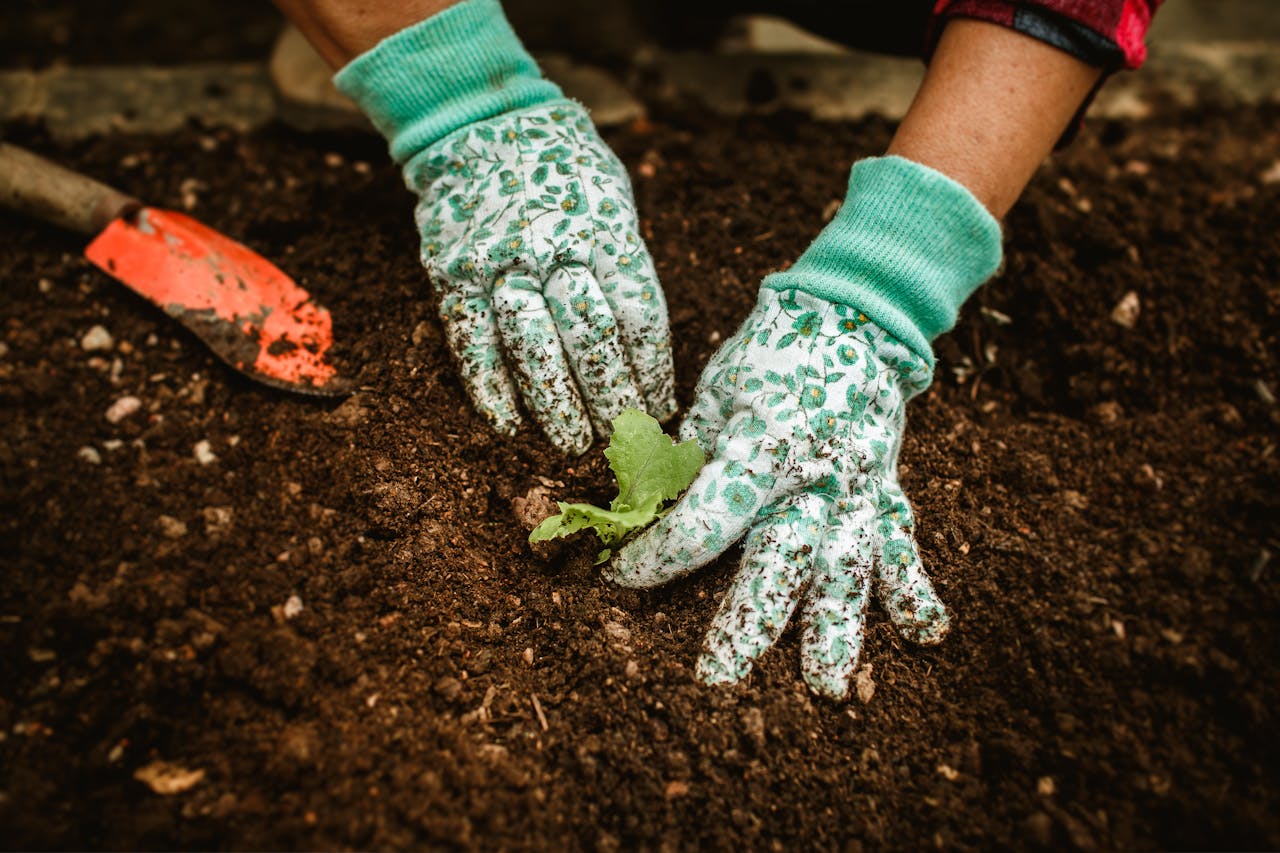 <p> Protecting your hands while gardening is essential, and a good pair of garden gloves can make a significant difference. Garden gloves shield your hands from dirt, thorns, and other potential injuries while providing a good grip on tools. Choose gloves made from breathable materials that offer both comfort and flexibility. Consider investing in a pair with reinforced fingertips and palms for added durability. Wearing garden gloves not only helps you work more efficiently but also allows you to enjoy the process of digging and planting without worrying about damaging your hands. </p> :: Pexels