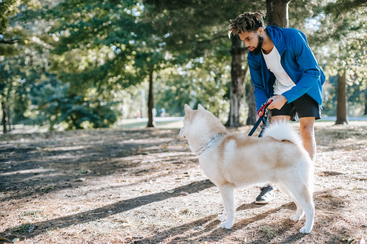 <p> If your dog’s separation anxiety persists despite your best efforts, seeking professional help may be beneficial. A certified dog trainer or animal behaviorist can provide tailored strategies to address your dog’s specific needs. They can assess your dog’s behavior, identify triggers, and develop a customized training plan. In some cases, your veterinarian may also recommend behavioral therapy or medication as part of a comprehensive treatment approach. Professional guidance can make a significant difference in helping your dog cope with anxiety and ensuring a happier, more relaxed pet. </p> :: Pexels