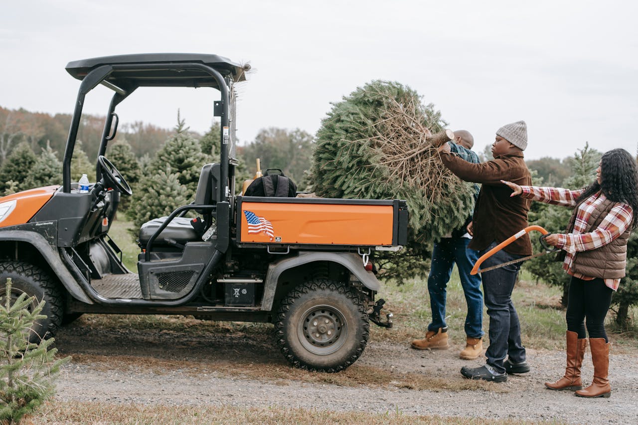 <p> Massachusetts law includes a quirky rule about hauling Christmas trees. If your tree is so large that it extends beyond the dimensions of your vehicle, you might be in violation of state regulations. The rule prioritizes road safety during the busy holiday season. Overloaded vehicles can pose risks to other drivers, particularly when branches obscure visibility or risk falling onto the road. So, if you plan to pick the biggest tree in the lot, ensure it fits securely on your car to avoid a potential fine. </p> :: Pexels