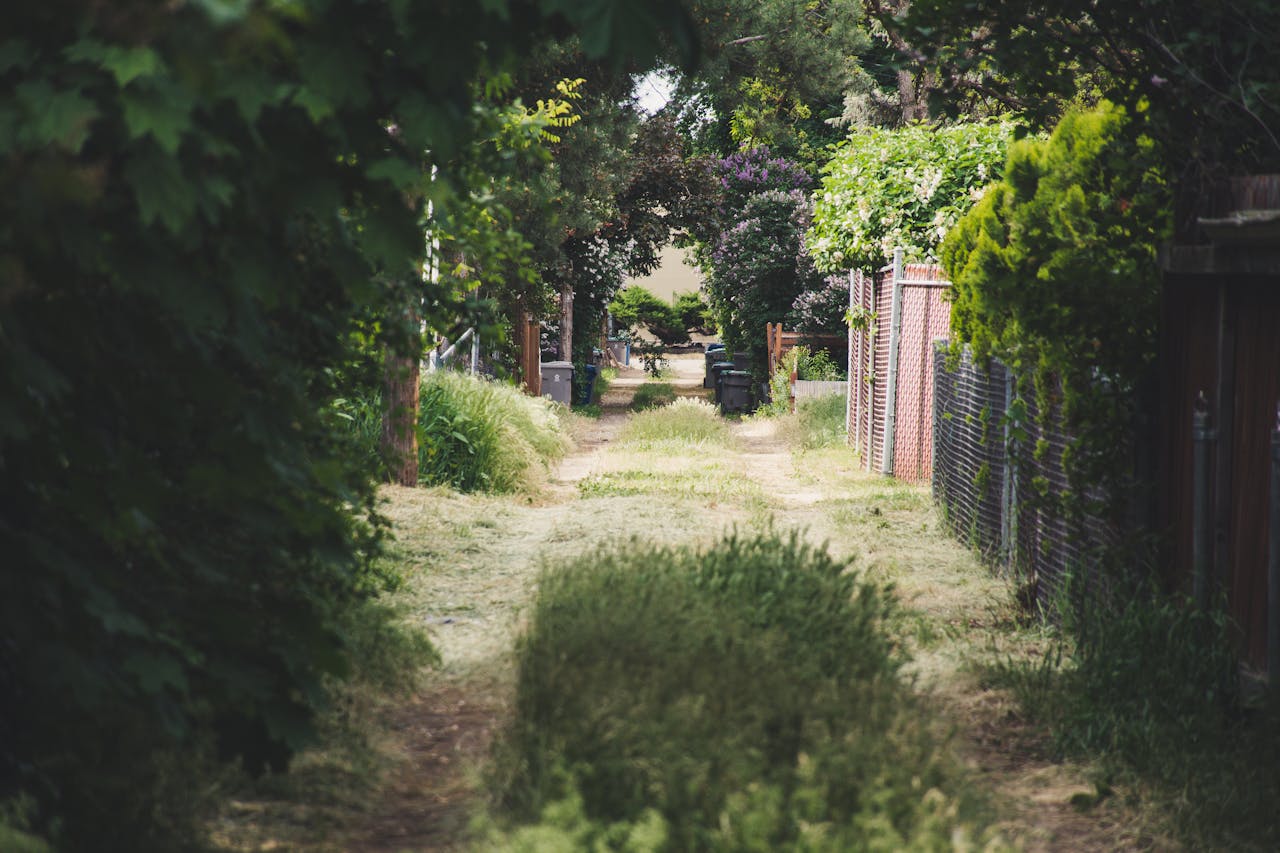 <p> Lush landscaping can enhance the beauty of your home, but overgrown bushes and trees can serve as hiding spots for burglars. If your bushes are too close to windows or doors, they provide an easy place for criminals to conceal themselves while casing your property. To keep your home safe, trim back bushes and trees, particularly around entry points, so that your property is well-lit and easily visible. This simple change can prevent burglars from sneaking up unnoticed. </p> :: Pexels