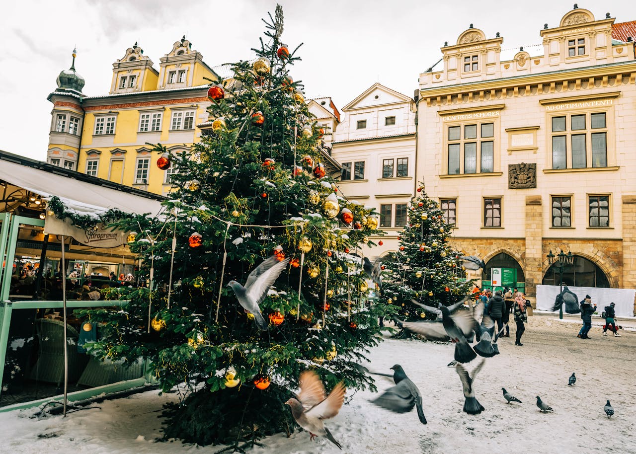 <p> Certain European countries impose restrictions on the size of public Christmas trees. These rules are intended to maintain uniformity in decorations and avoid excessive spending on extravagant displays. For instance, some towns limit tree heights to ensure that no single display overshadows the rest of the community’s efforts. The regulations showcase a commitment to equality and simplicity, even in festive décor. </p> :: Pexels