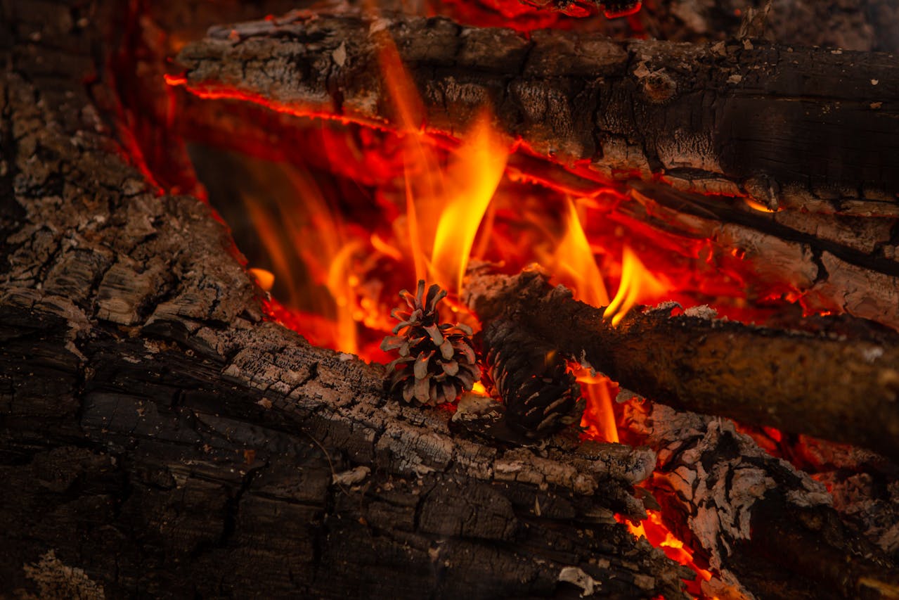 <p> As the weather cools down, there’s nothing better than a cozy fire to warm up your home. Pinecone fire starters are a great way to add a seasonal touch to your fireplace. To make these, gather pinecones, soy wax, candle wicks, and essential oils like cinnamon or clove for a fall scent. Dip the pinecones in melted wax, then place a wick at the top of each one. Once the wax hardens, your fire starters are ready to use. They not only help ignite your fire quickly but also release a lovely fragrance as they burn. </p> :: Pexels