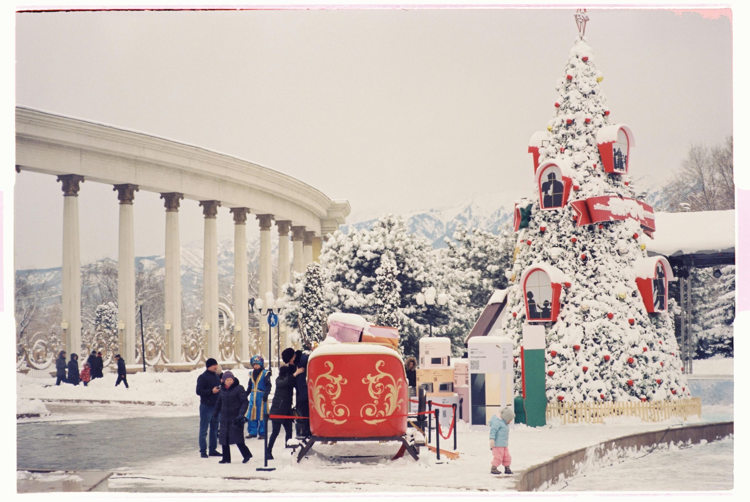 <p> While constructing a large-scale Christmas tree display in your yard may sound like a fun idea, it often requires more work than it’s worth. Whether you're building it out of wooden pallets, lights, or PVC pipes, you’ll need to invest significant time and energy into the planning, construction, and execution. A DIY Christmas tree structure also requires secure installation to prevent it from toppling over in bad weather, and even then, it can still suffer damage from high winds or rain. Instead of spending weeks working on an outdoor tree, consider more manageable alternatives that are still visually striking but far less labor-intensive. </p> :: Pexels