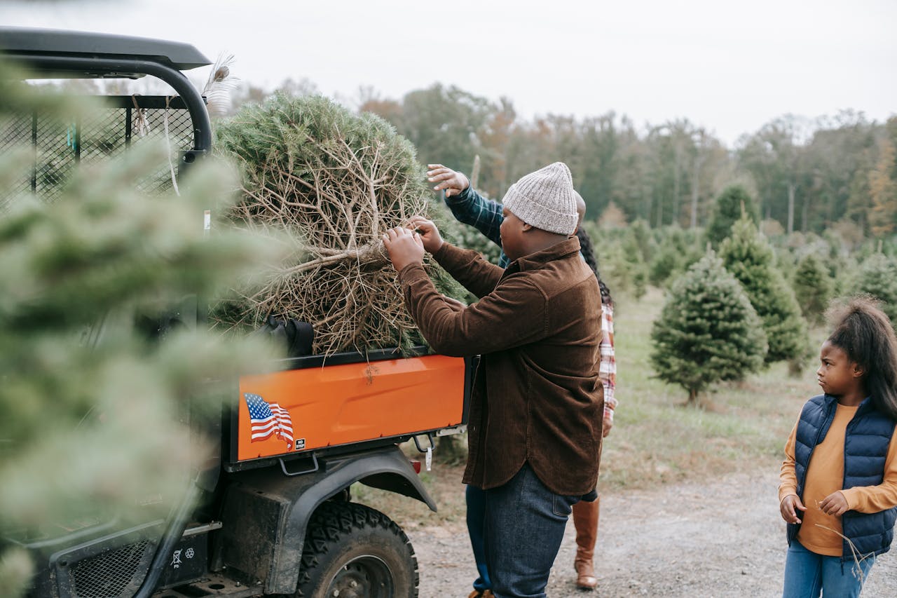 <p> In the 70s, the scent of fresh pine filled homes during the holidays. Families made outings to pick the perfect real Christmas tree, often creating lifelong memories in the process. Decorating these trees with handmade ornaments and colorful lights was a tradition everyone looked forward to. Selecting the tree was an adventure in itself, with families walking through snowy lots or forests to find the right one. Unlike artificial trees, real trees brought a sense of authenticity to the holiday season. Bringing back this tradition could reconnect families with nature and revive the nostalgic joy of the holidays while supporting local tree farms. </p> :: Pexels