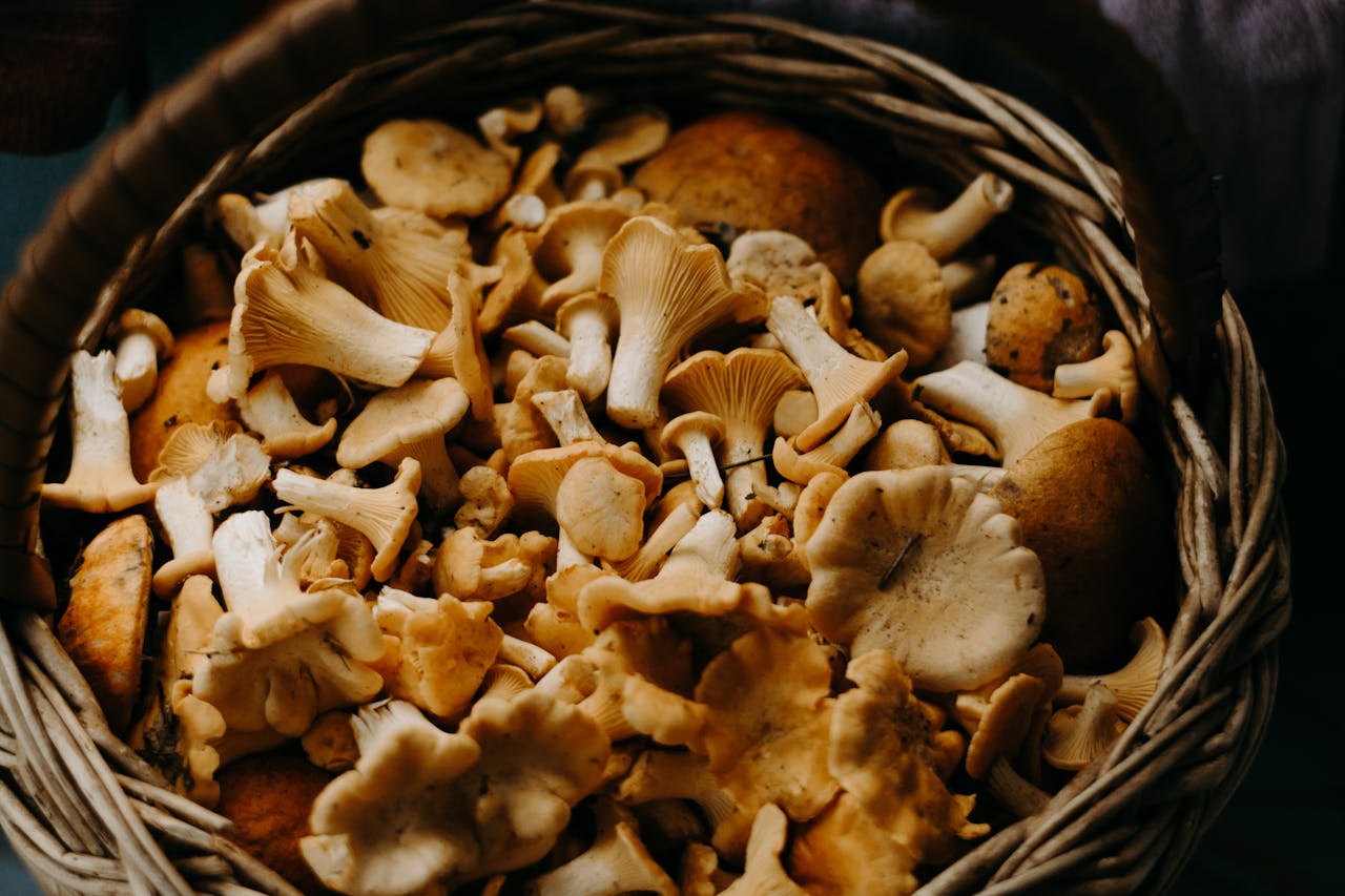 <p> Mushrooms are a great addition to many dishes, but they don’t reheat well. When mushrooms are cooked and then reheated, they can release toxins that may upset your stomach. This happens because mushrooms are high in protein, and when reheated, they break down in a way that makes them harder to digest. Additionally, reheating mushrooms multiple times can cause them to become slimy and unappetizing. Tip: If you have leftover mushrooms, try to consume them within a day or two without reheating them. If you must reheat them, do so gently, but it’s often better to eat them fresh. </p> :: Pexels