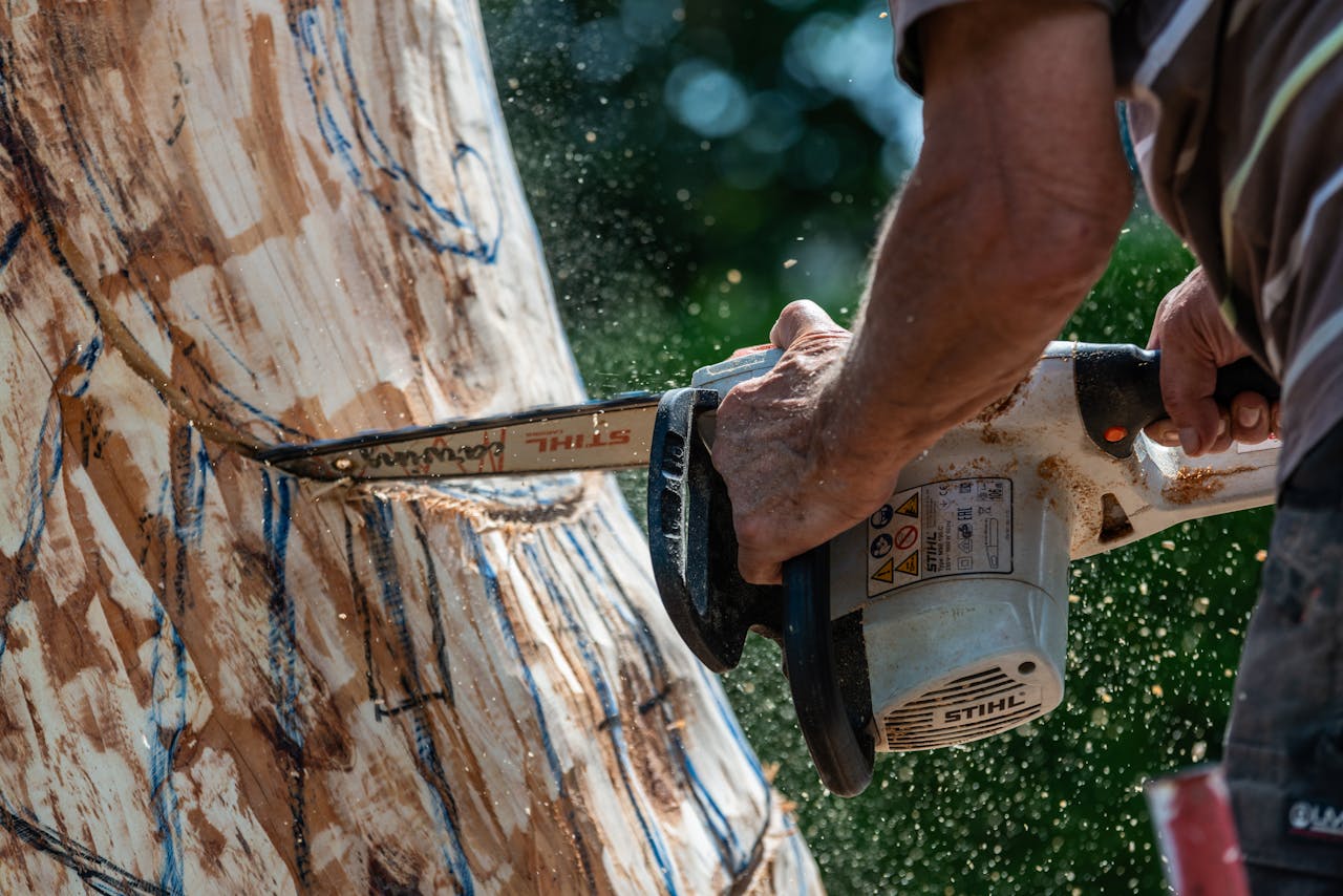 <p> Cutting down a tree might seem straightforward, but doing so near power lines or buildings is incredibly dangerous. One wrong move could lead to power outages, structural damage, or severe injuries. Professional arborists are equipped with tools and techniques to remove trees safely, even in tight or risky locations. They assess the situation carefully, ensuring both your property and nearby structures remain unharmed during the process. </p> :: Pexels