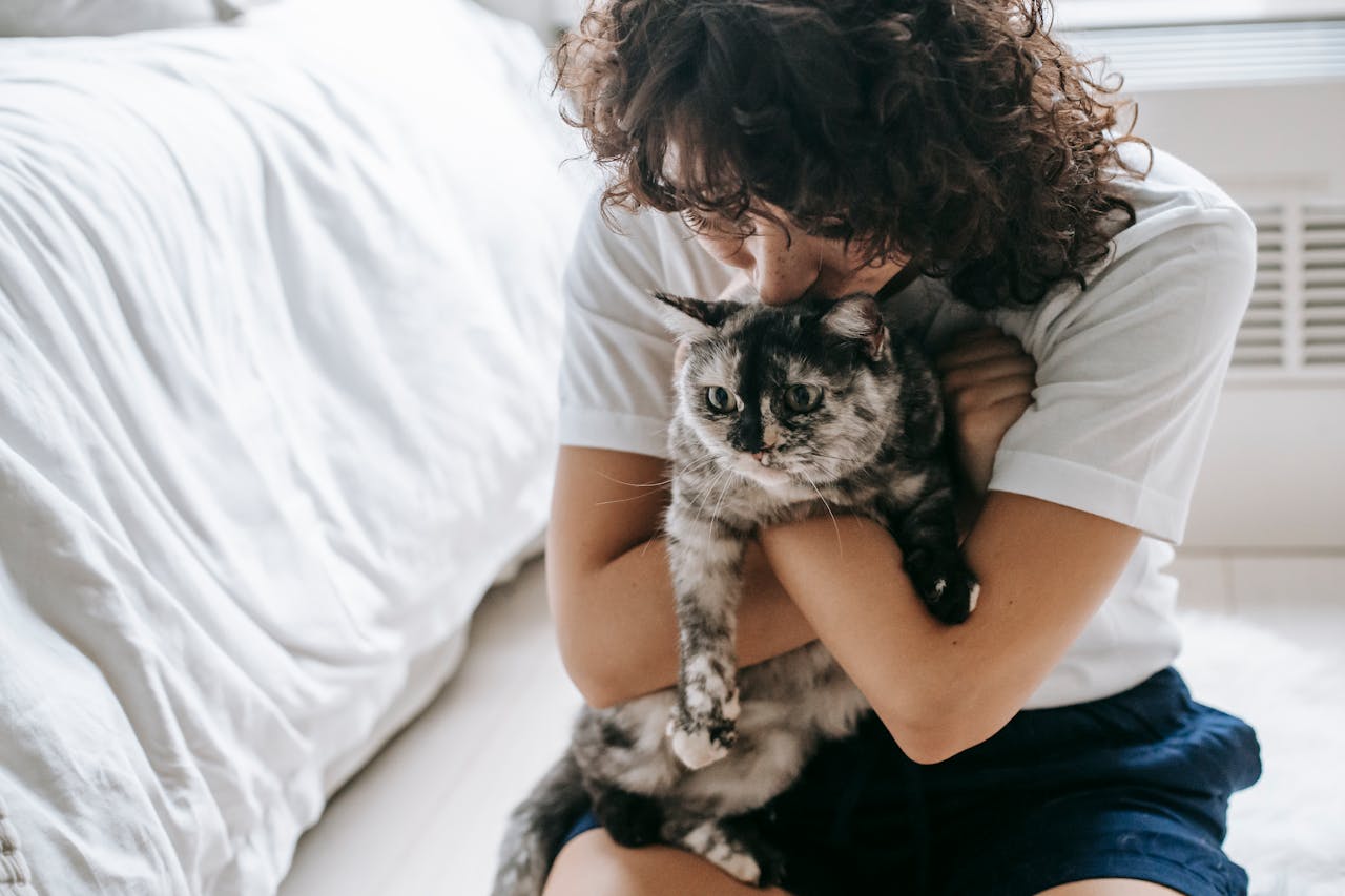 <p> One of the most surprising health benefits of cuddling with your cat is its ability to help relieve pain and promote healing. The sound frequency of a cat's purr, which typically ranges between 25 and 150 Hertz, has been shown to have therapeutic effects on the human body. These frequencies can help reduce inflammation, alleviate muscle pain, and even promote the healing of bones and tissues. This phenomenon, known as "purr therapy," has been studied for its potential to accelerate recovery in humans. If you are dealing with chronic pain, injuries, or general discomfort, snuggling with your cat can provide a natural and comforting form of relief. </p> :: pexels