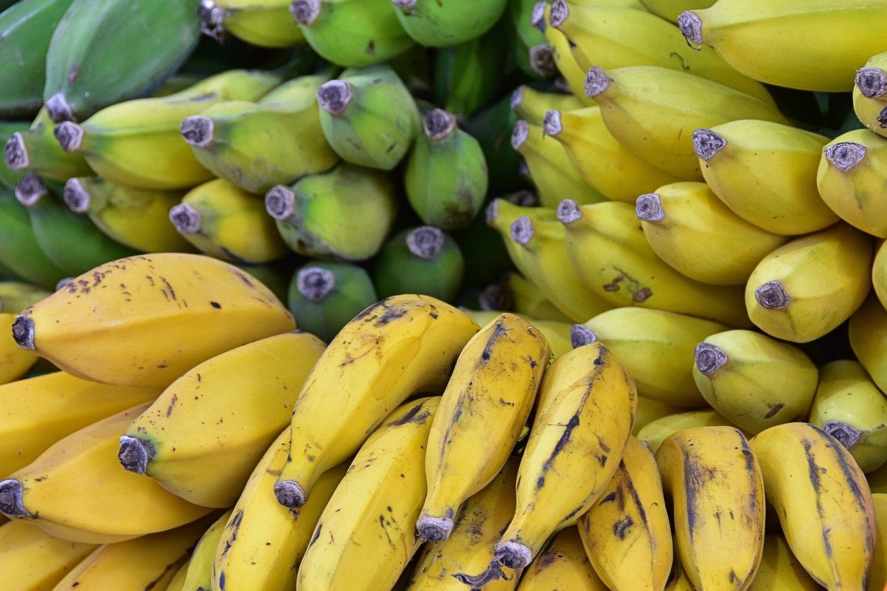 <p>The U.S. imported 2 million worth of fruits and nuts from Colombia in 2023, including bananas, avocados, pineapples, and other tropical fruits. In 2024, this figure grew to 0 million, as American consumers showed a greater interest in healthy and exotic fruits. </p> ::Pexels