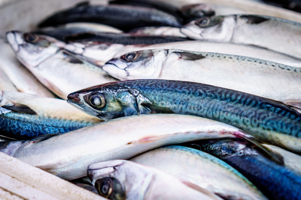 <p>Seafood exports, such as shrimp and fish, from Colombia to the U.S. are valued at approximately 0 million annually. In 2024, this figure remained steady, with a focus on high-quality and sustainably sourced seafood. </p> ::Pexels