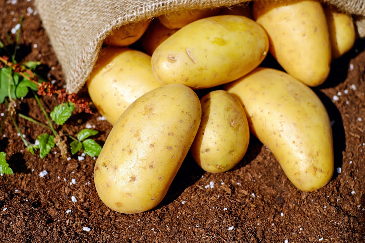 <p> Potatoes are a staple food that can help prevent muscle cramps, especially when eaten with their skins. The skin is rich in potassium, which supports proper muscle function and prevents cramping. Potatoes also provide complex carbohydrates, which fuel your body and keep your muscles energized. Whether you prefer them baked, boiled, or mashed, potatoes are a versatile and nutritious addition to your diet. </p> :: Pexels