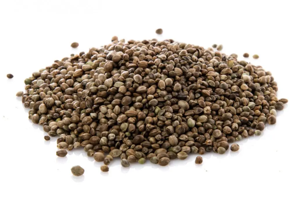 <p> Hemp seeds are a complete protein, containing all nine essential amino acids that the body needs for muscle growth and repair. They are also high in healthy fats, particularly omega-3 and omega-6 fatty acids, which promote heart and brain health. The rich magnesium content in hemp seeds helps regulate blood pressure and reduce stress. Their slightly nutty flavor makes them perfect for sprinkling over salads, stirring into yogurt, or blending into protein-packed smoothies. Hemp seeds are also an excellent addition to homemade granola bars and can be used to make dairy-free hemp milk for those with lactose intolerance. </p> :: Pexels