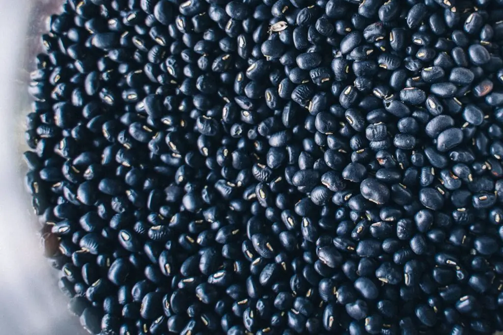 <p> Black beans aren’t just great for taco night – they’re also packed with fiber. With 15 grams of fiber per cooked cup, black beans help regulate digestion and support a healthy gut. They’re a fantastic source of plant-based protein, which makes them perfect for anyone looking to reduce meat consumption. Add them to soups, salads, or even blend them into dips like black bean hummus. Black beans are a fiber-rich, versatile food that will quickly become a staple in your kitchen. </p> :: Pexels