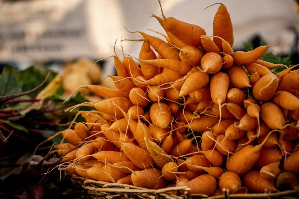 <p> While full-sized carrots take longer to mature, baby carrots can be harvested in just 30 days. These sweet, tender roots are perfect for snacking, roasting, or adding to salads. They grow best in loose, well-draining soil and need consistent moisture for even growth. If you are short on time and space, you can also grow baby carrots in deep containers on a patio or balcony. </p> :: Pexels