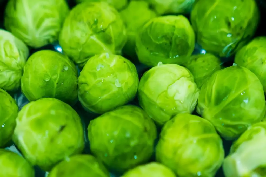 <p> Don’t let their size fool you—Brussels sprouts are packed with nutrition. These little green veggies are rich in vitamins C and K, fiber, and antioxidants, which contribute to a healthy heart, improved digestion, and reduced inflammation. The high fiber content in Brussels sprouts helps maintain digestive health and supports healthy blood sugar levels. Additionally, Brussels sprouts are a great source of glucosinolates, which are compounds that have been linked to a reduced risk of cancer. Roasting or grilling Brussels sprouts brings out their natural sweetness, making them a tasty and nutritious side dish. </p> :: Pexels