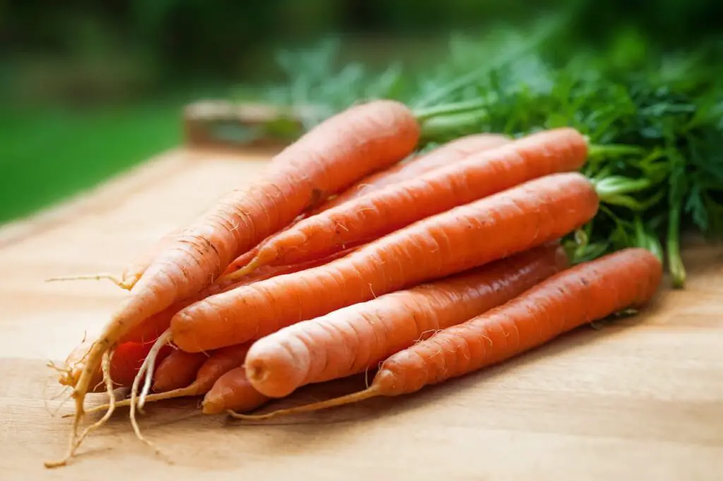 <p> Carrots aren’t just for dipping in hummus – they’re also a great source of fiber. One cup of raw carrots provides around 4 grams of fiber. The fiber in carrots helps keep things moving in your digestive system, and their high vitamin A content supports healthy vision. Whether you enjoy them raw, roasted, or blended into soups, carrots are an easy way to add fiber and nutrients to your diet. </p> :: Pexels