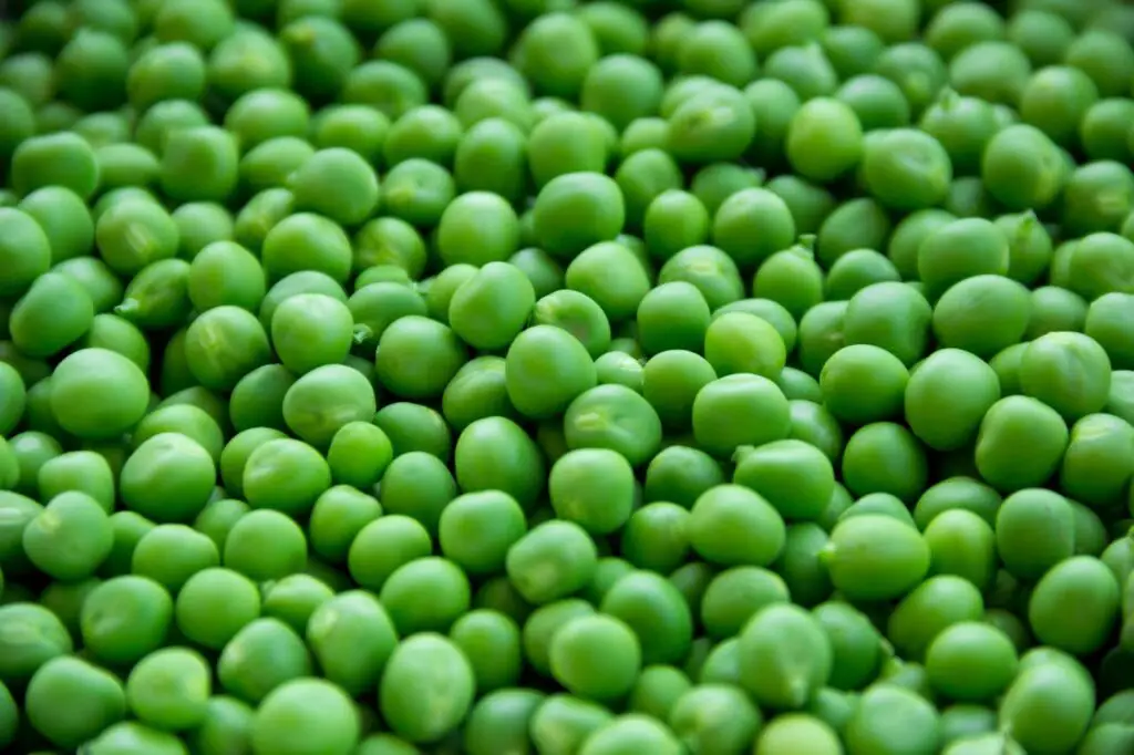 <p> Peas may be small, but they’re mighty when it comes to fiber. One cooked cup of peas provides about 8 grams of fiber. They also offer a good amount of plant-based protein, making them an excellent addition to vegetarian meals. You can add peas to soups, stews, casseroles, or even enjoy them as a side dish. Their fiber content helps support digestion and gut health, and they’re easy to prepare in bulk for meal prepping. </p> :: Pexels