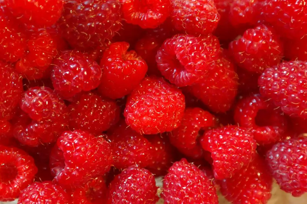 <p> Raspberries are a sweet and delicious way to up your fiber intake. With 8 grams of fiber per cup, these berries are perfect for a quick snack or an addition to your breakfast. Not only are raspberries high in fiber, but they’re also loaded with antioxidants that support your overall health. You can throw them into smoothies, top your yogurt with them, or just enjoy them fresh. They’re a refreshing and fiber-rich treat! </p> :: Pexels