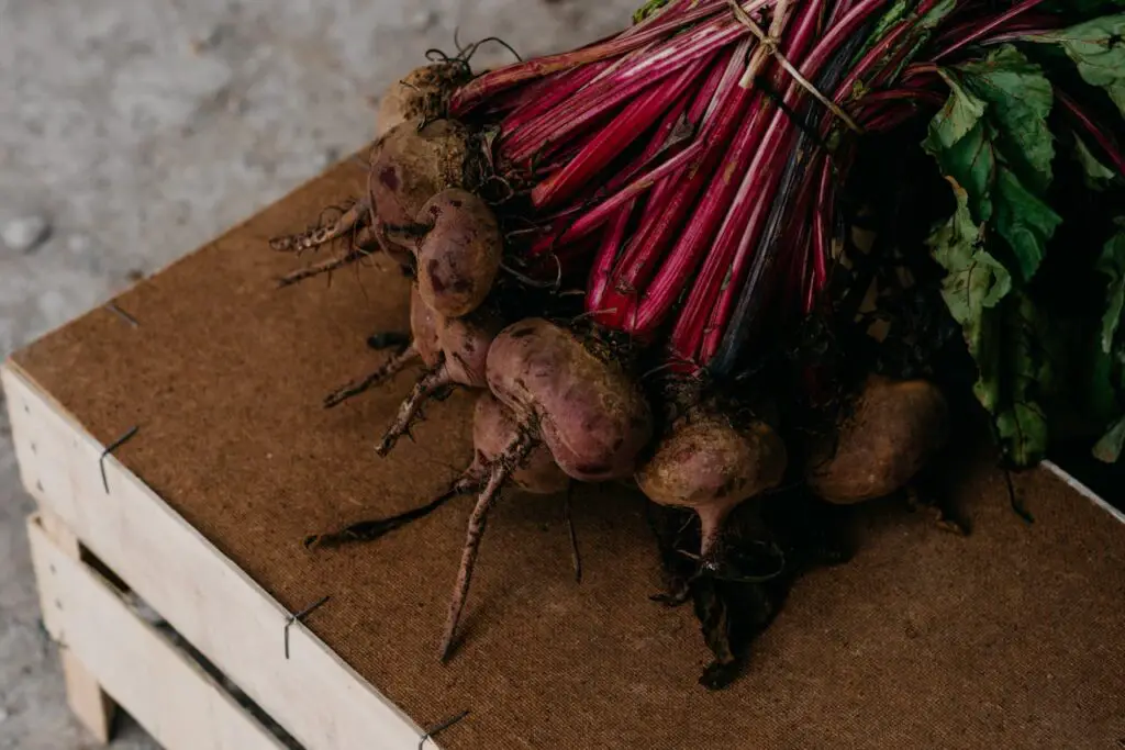 <p> Beets are a great choice for bucket gardening because they have shallow roots and do not require much space. They grow well in loose, well-drained soil, making a five-gallon bucket a perfect home for them. Beets thrive in both warm and cool temperatures, making them suitable for year-round cultivation. Additionally, both the root and the leafy greens are edible, giving you double the harvest from one plant. </p> :: Pexels